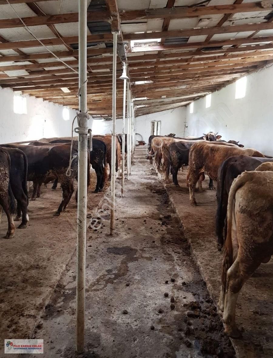 arnavutköy satılık ev