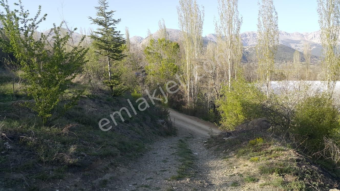 Burdur Ağlasun Yeşilbaş Köyünde Satılık 2.500m² Arsa - Görsel 15