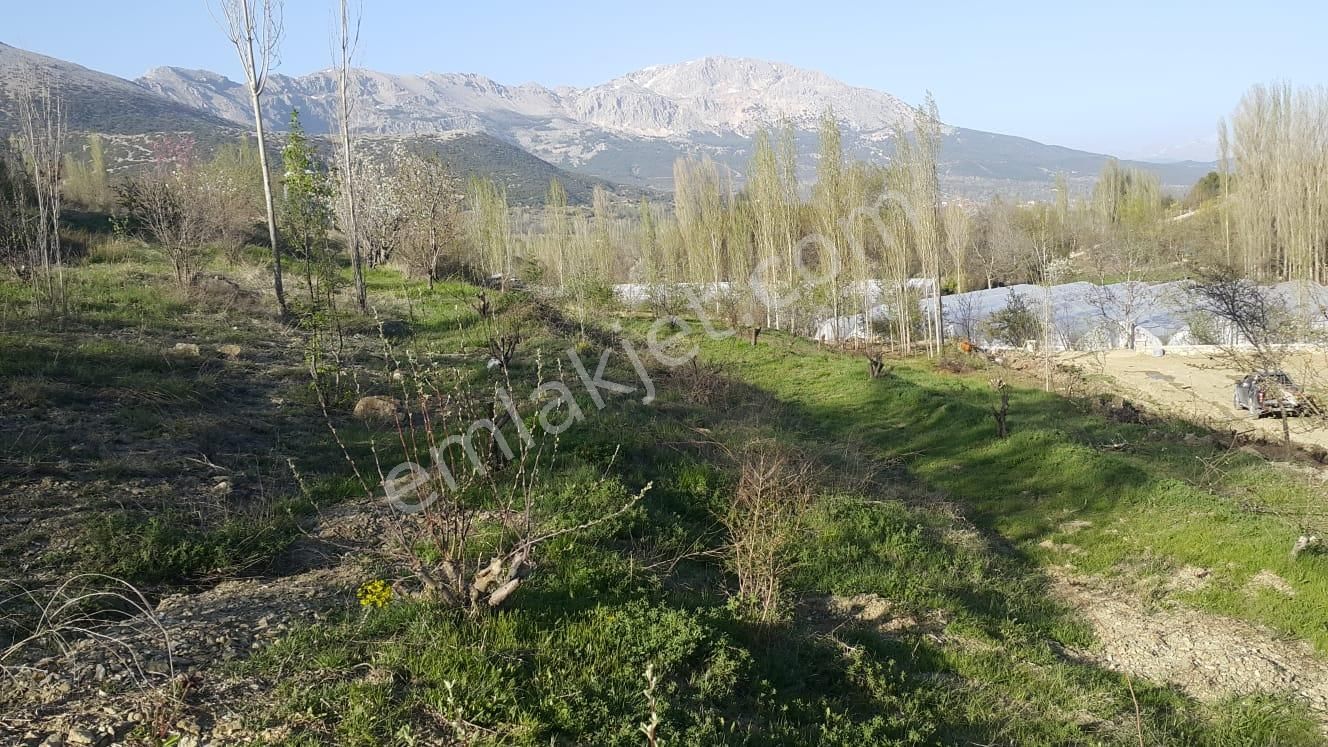 Burdur Ağlasun Yeşilbaş Köyünde Satılık 2.500m² Arsa - Görsel 11