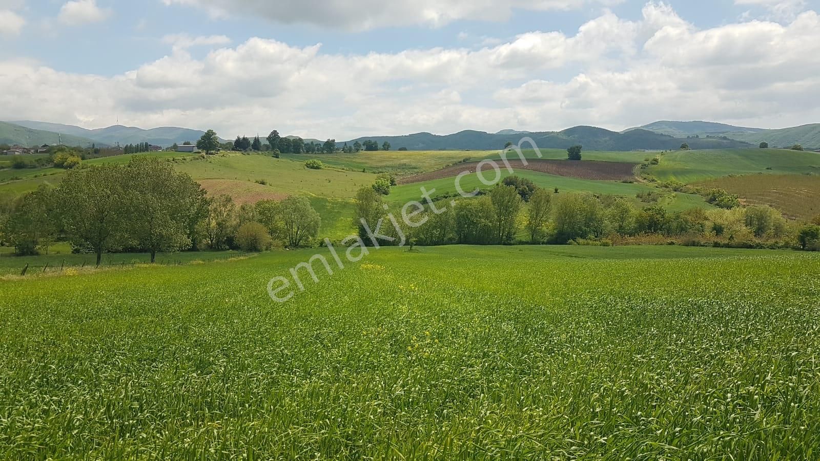 Karamürsel Hayriye Satılık Tarla Karamürsel Hayriye Köyü 'nde Satılık 11434 M2 Tarla Uzmanlar'dan