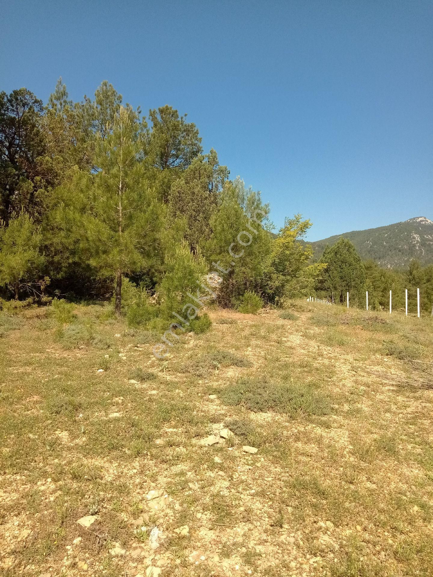 Acil Satılık Tarla Ana Yola Yakın - Görsel 8