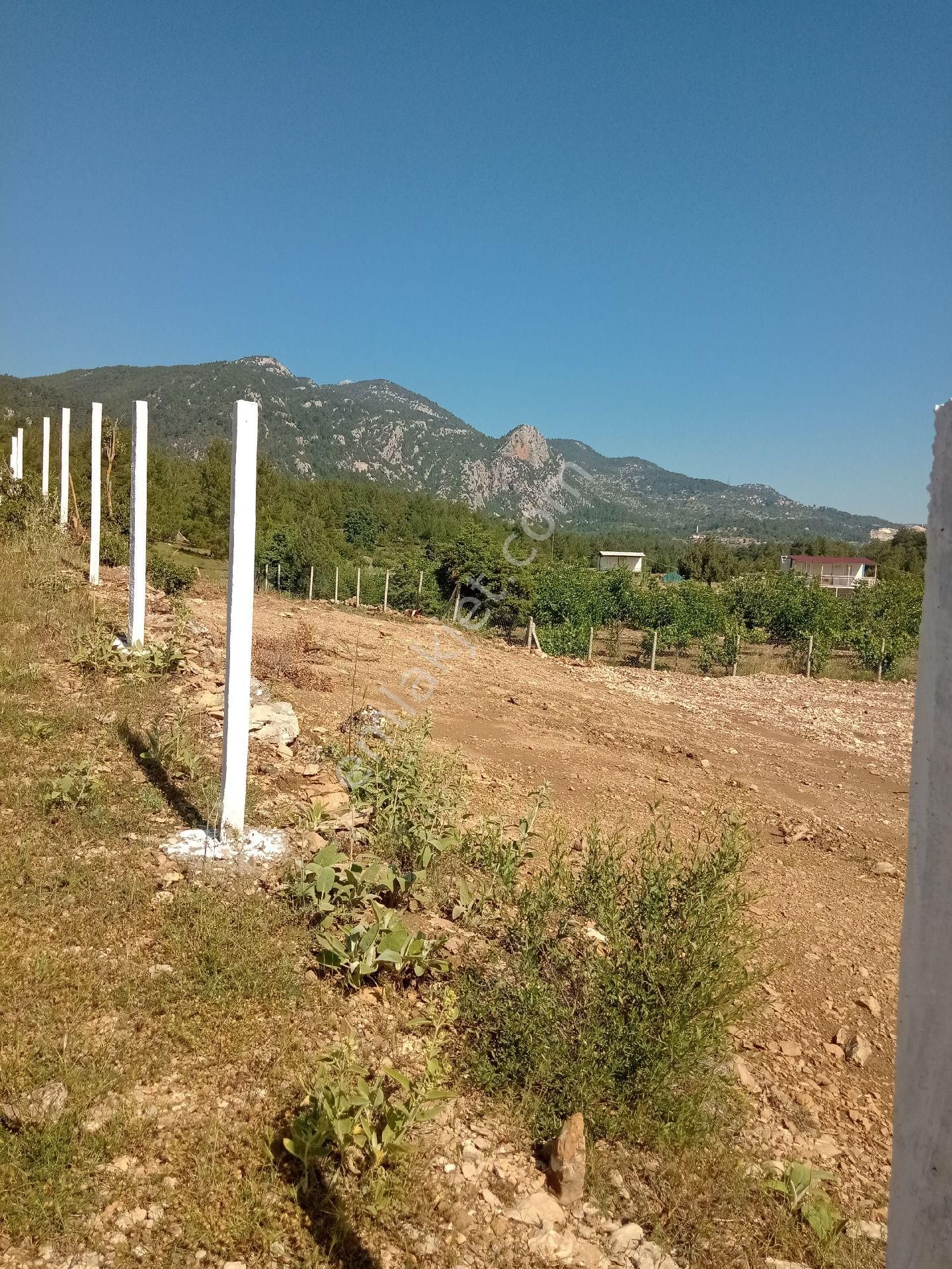 Acil Satılık Tarla Ana Yola Yakın - Görsel 5