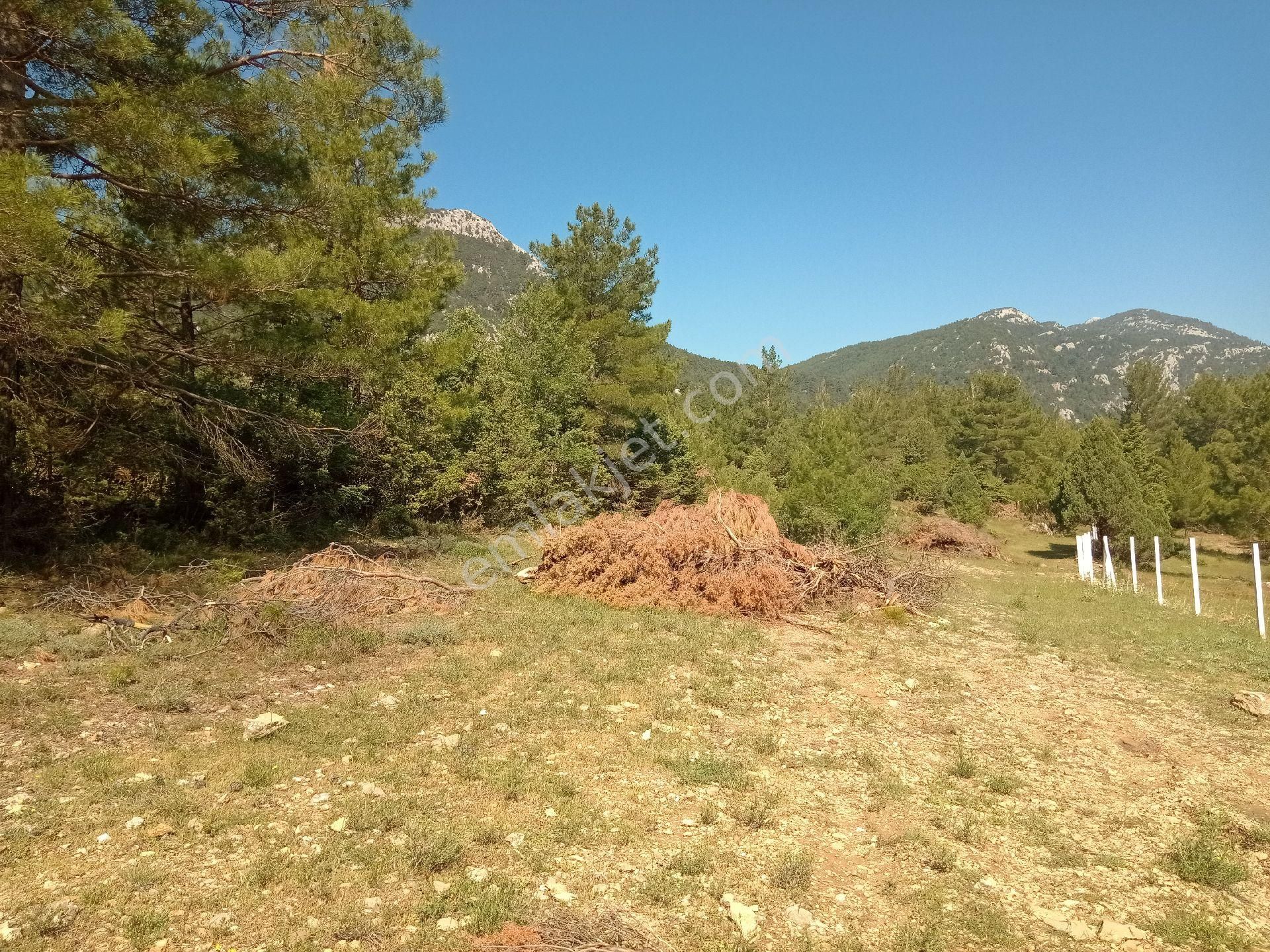 Acil Satılık Tarla Ana Yola Yakın - Görsel 10