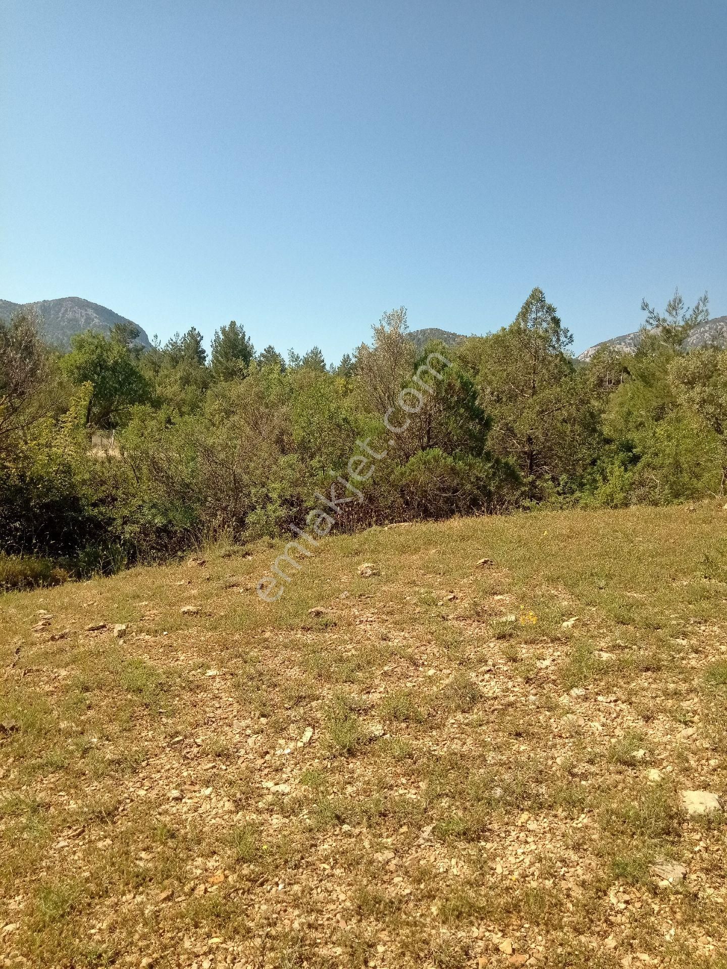 Acil Satılık Tarla Ana Yola Yakın - Görsel 3