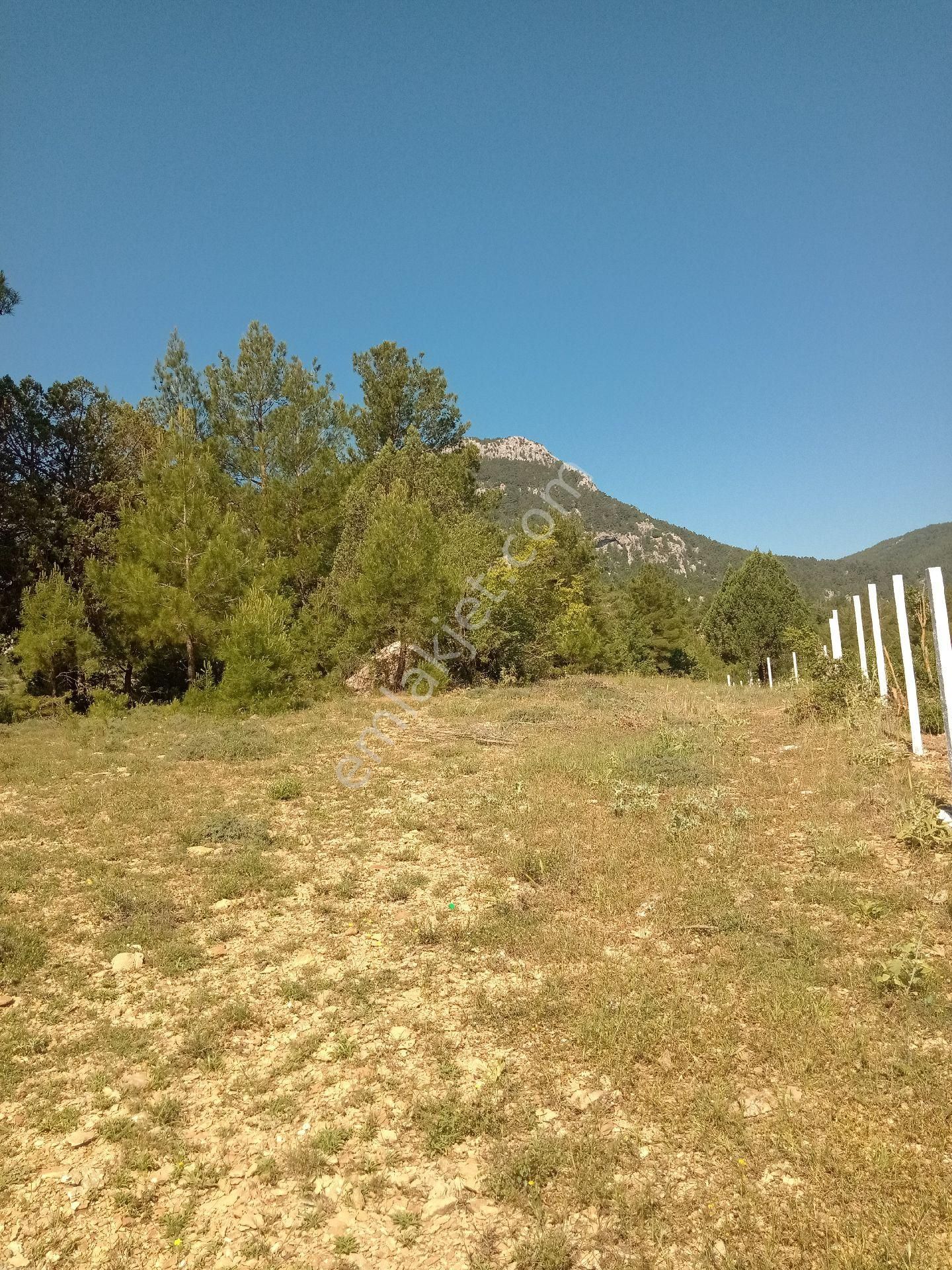 Acil Satılık Tarla Ana Yola Yakın - Görsel 4