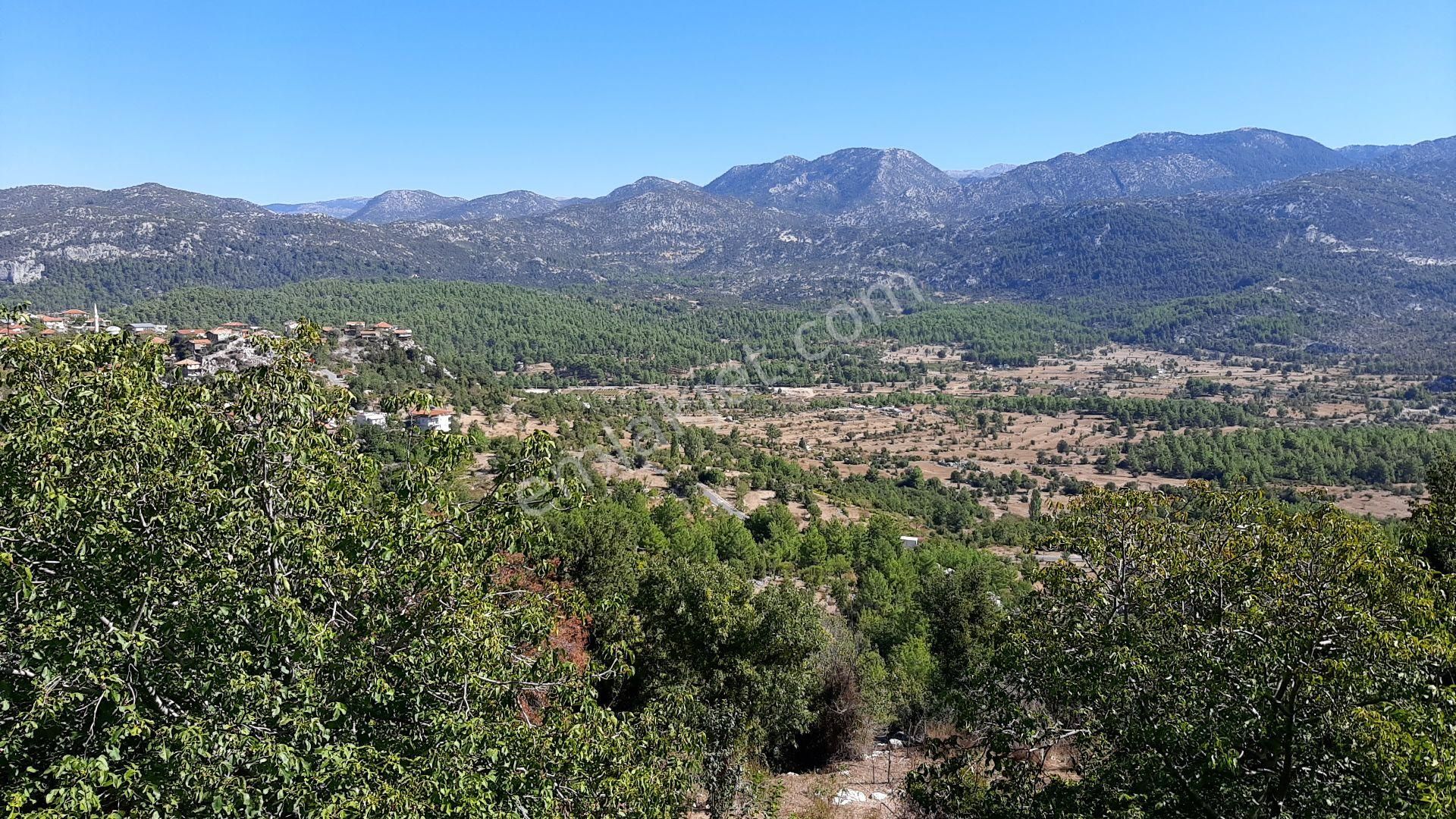 Acil Satılık Tarla Ana Yola Yakın