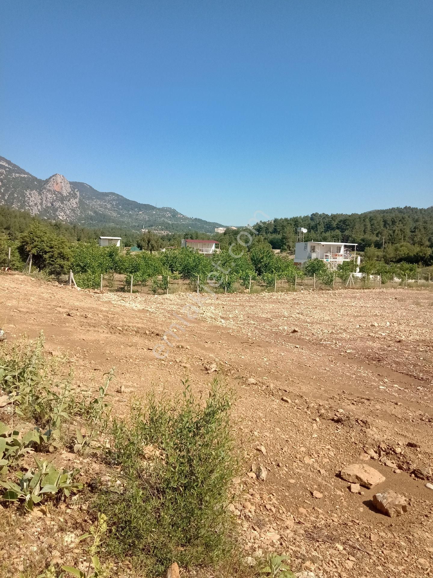 Acil Satılık Tarla Ana Yola Yakın - Görsel 2