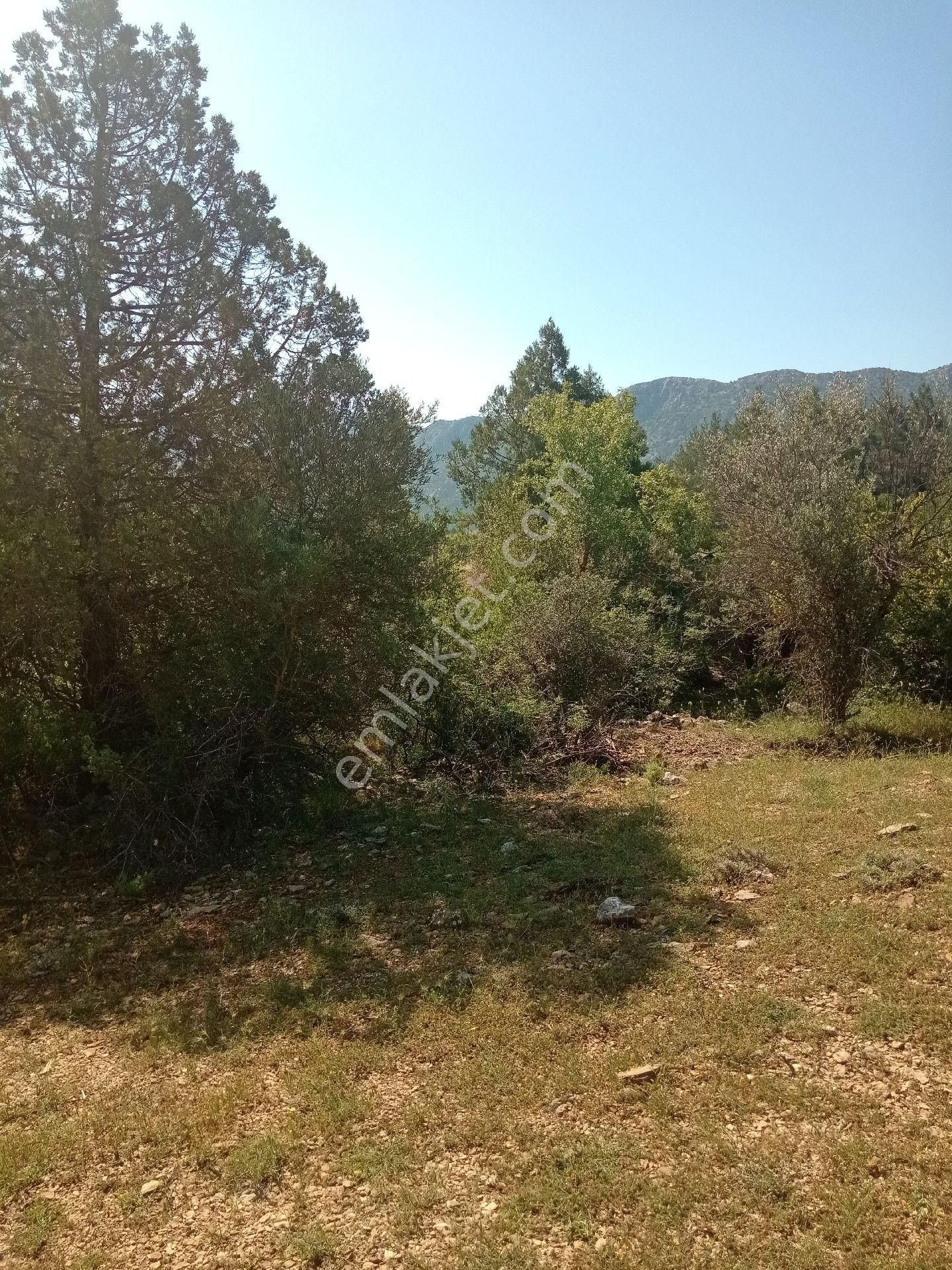 Acil Satılık Tarla Ana Yola Yakın - Görsel 9