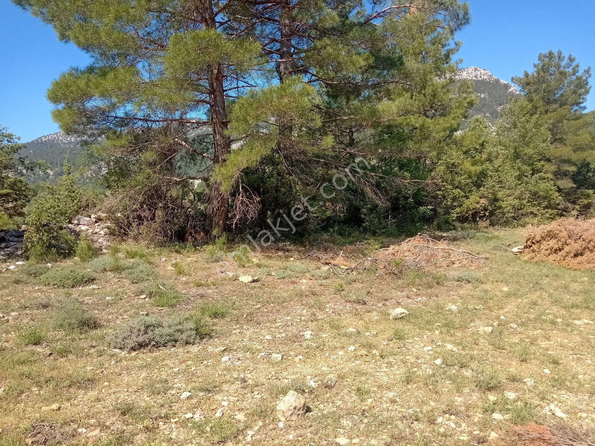 Acil Satılık Tarla Ana Yola Yakın - Görsel 11