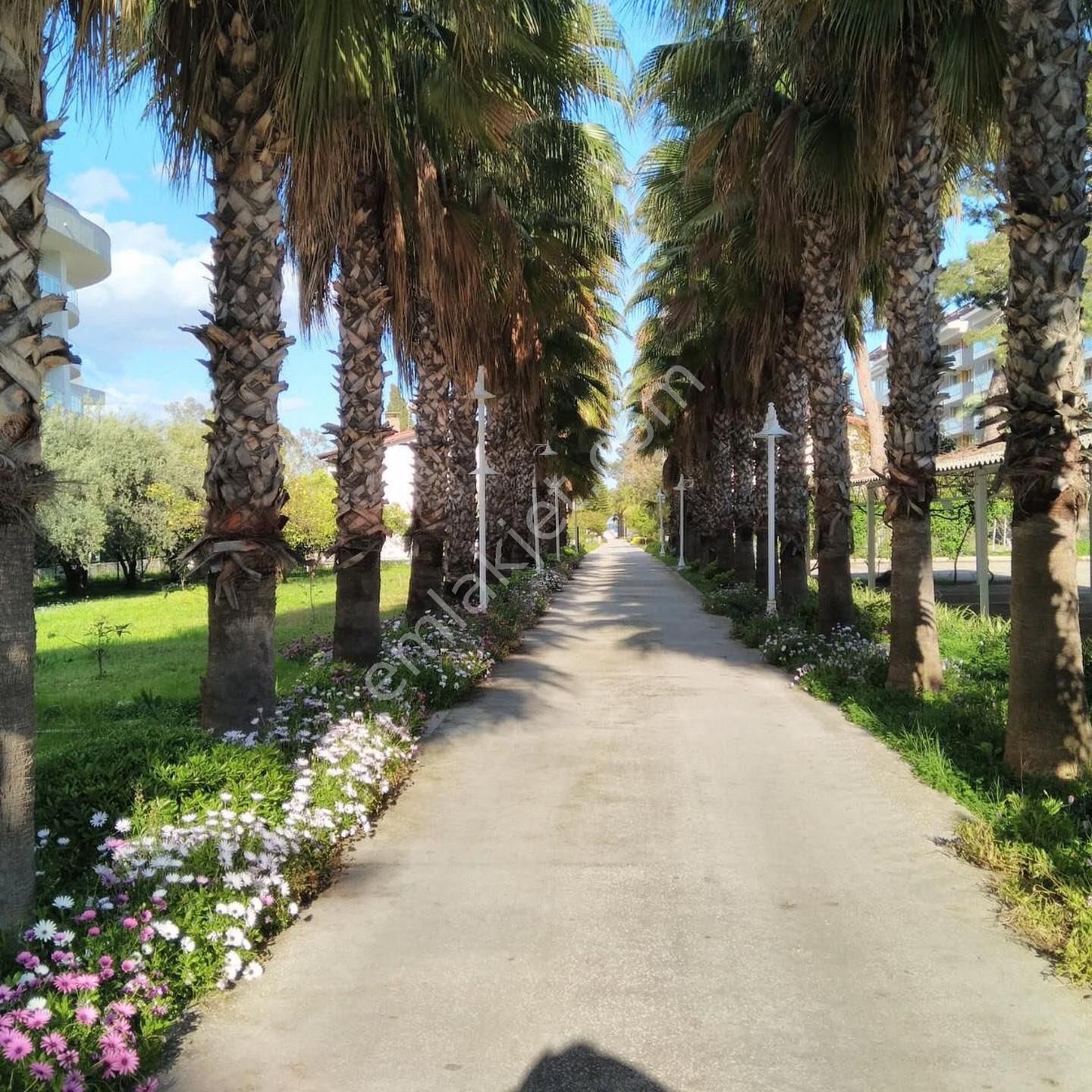 Nyc Gayrimekul Den Kemer Merkez De Denize Sıfır Satılık Villa - Görsel 2