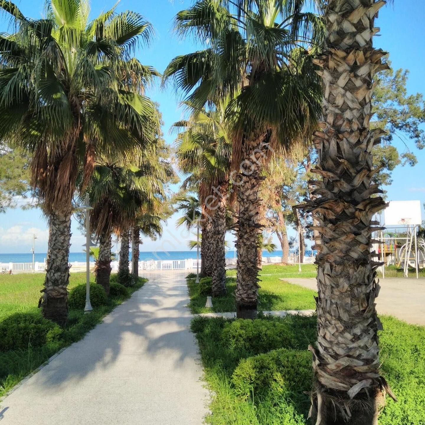 Nyc Gayrimekul Den Kemer Merkez De Denize Sıfır Satılık Villa - Görsel 4