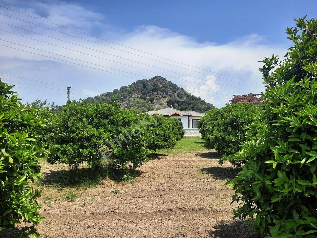 Ortaca Dalyan Satılık Konut İmarlı  Muğla Dalyan da satılık 722 m2 imarlı müstakil arsa