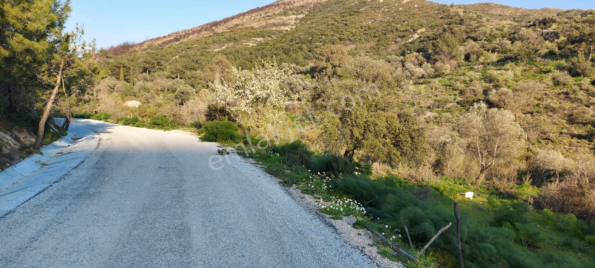 Bodrum Yakaköy Satılık Tarla Acil Satılık........hayalinizdeki Evi Yapma Şansı Fırsat Yatırım