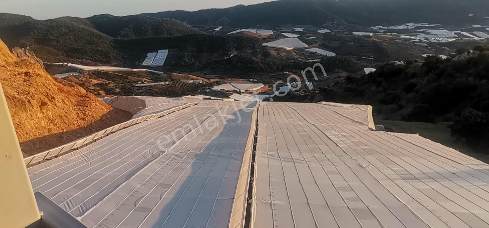 Alanya Yeşilöz De Yeni 27 000 M2 Süper Muz Serası Ve Deniz Manzaralı Süper 3 Katlı Bina - Görsel 29