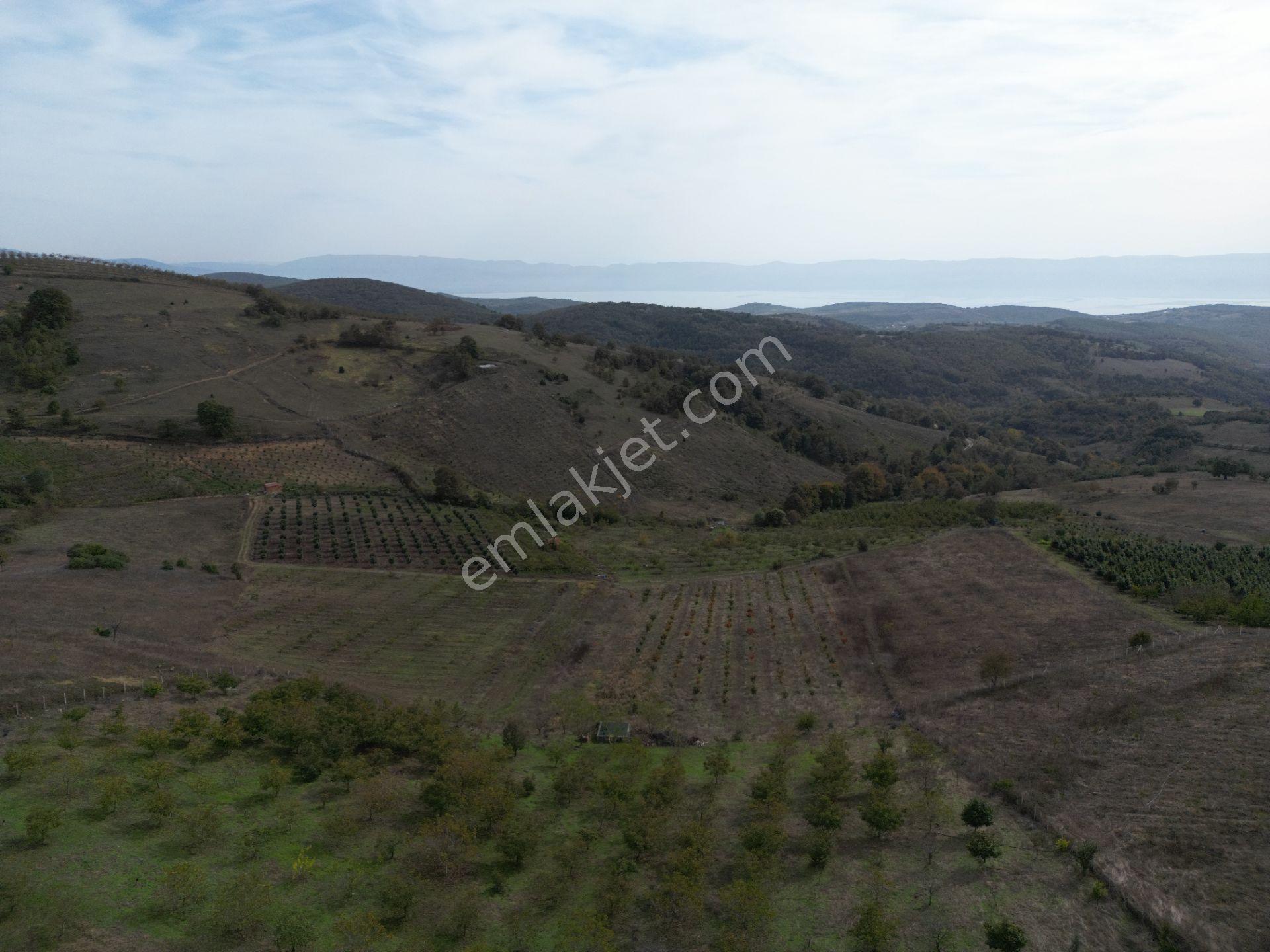 Kocaeli Karamürsel Fulacık Projeli 6275 M² Göl Manzaralı Satılık Tarla - Görsel 14