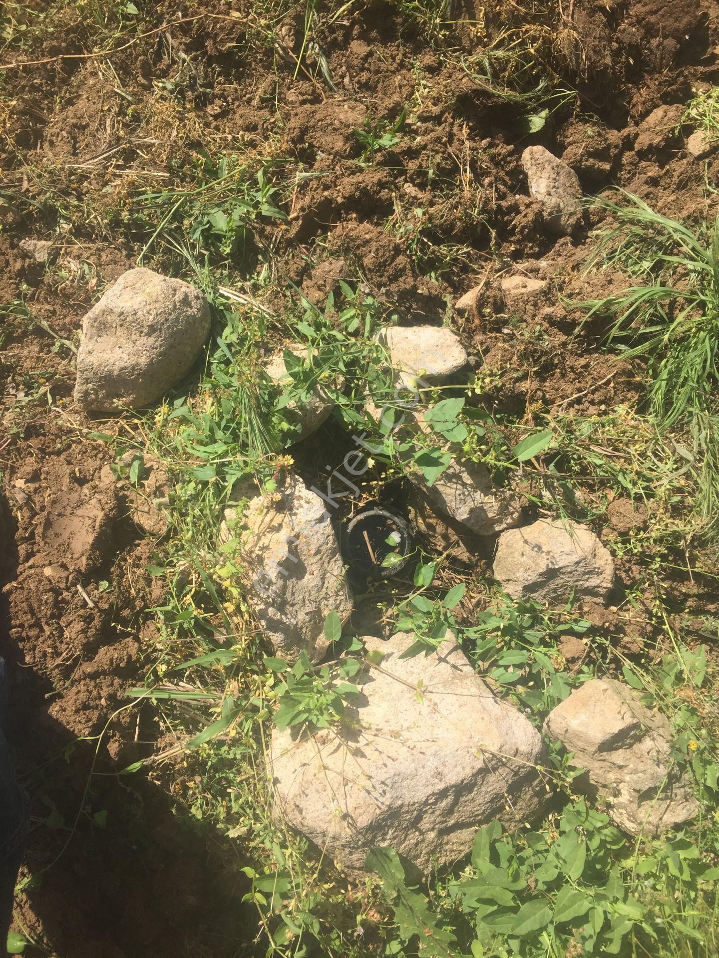 İçerisinde Kendisine Ait Baraj Suyu Olan Satılık Zeytinlik