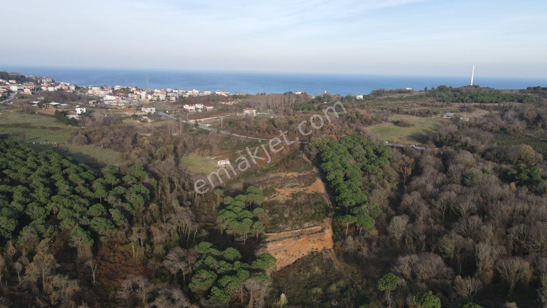 Karaburun Da Denize Yakın Çok Uygun Fiyata - Görsel 25