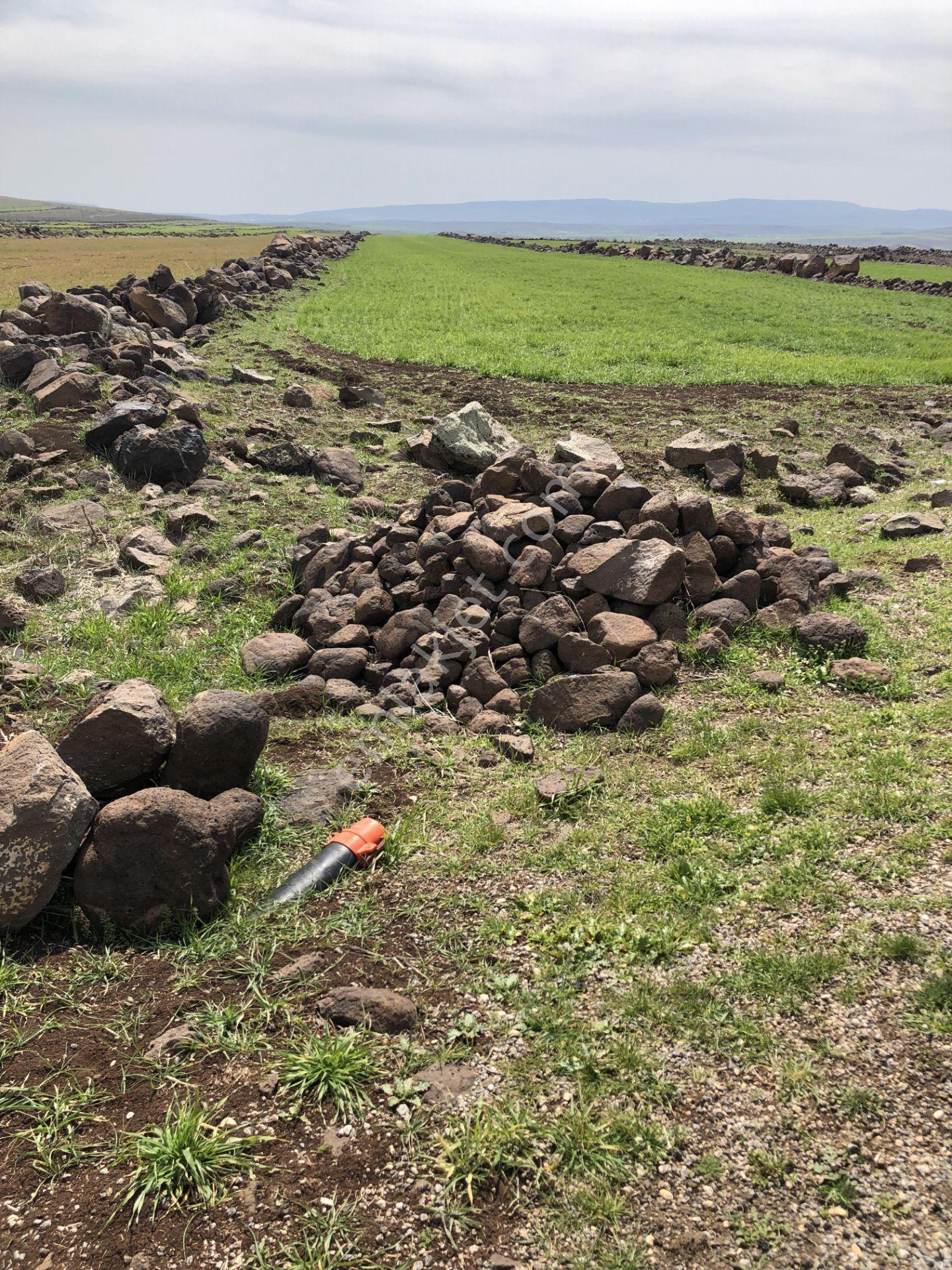 Sami Bakır'dan Beysekide Polateli Osb Ve Sarıt İmarının Yanı Arazi - Görsel 12
