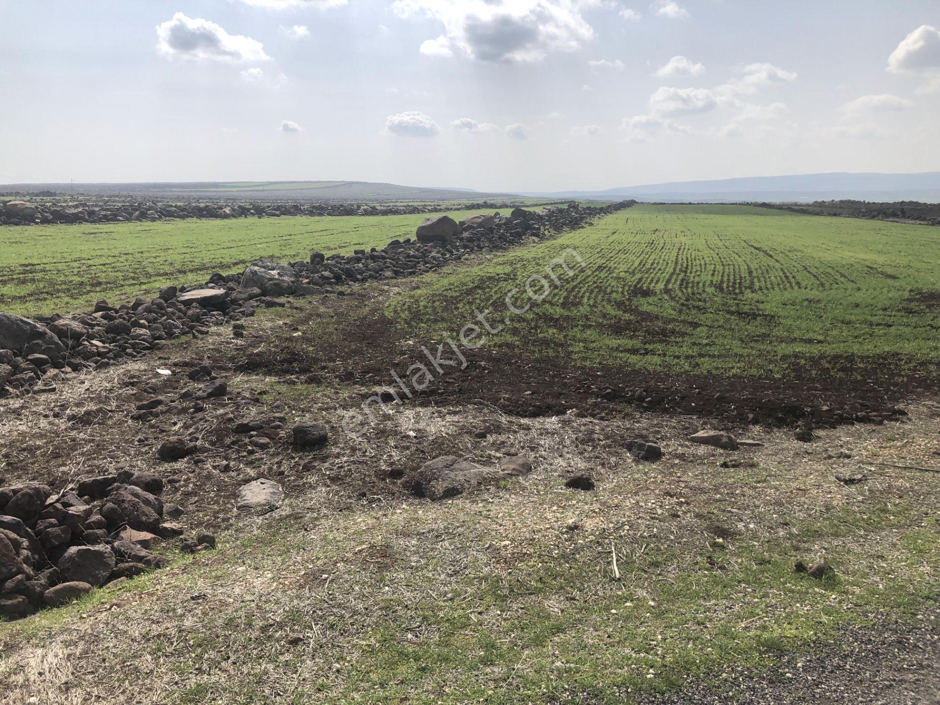Sami Bakır'dan Beysekide Polateli Osb Ve Sarıt İmarının Yanı Arazi - Görsel 4