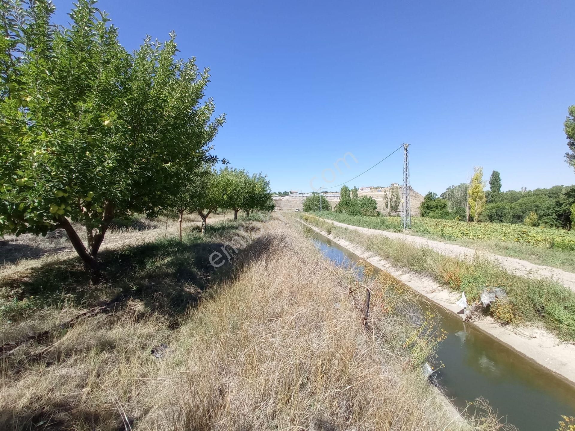 Gömeçde 4846 M2 Yatırımlık Arsa !!! - Görsel 8