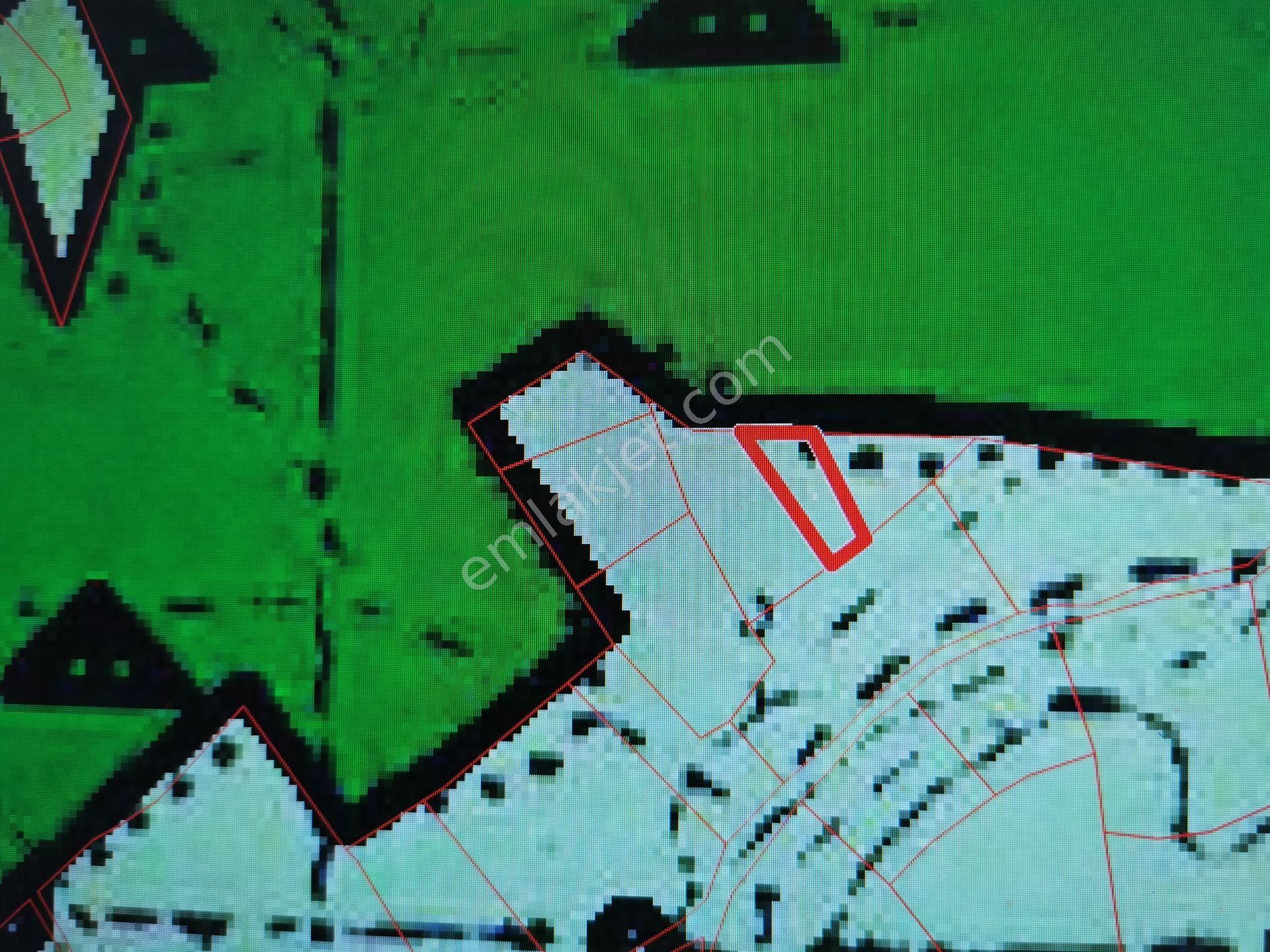 Bülent Ateşci'den Bozköyde 1010 M2 Zeytinli Tarla - Görsel 3