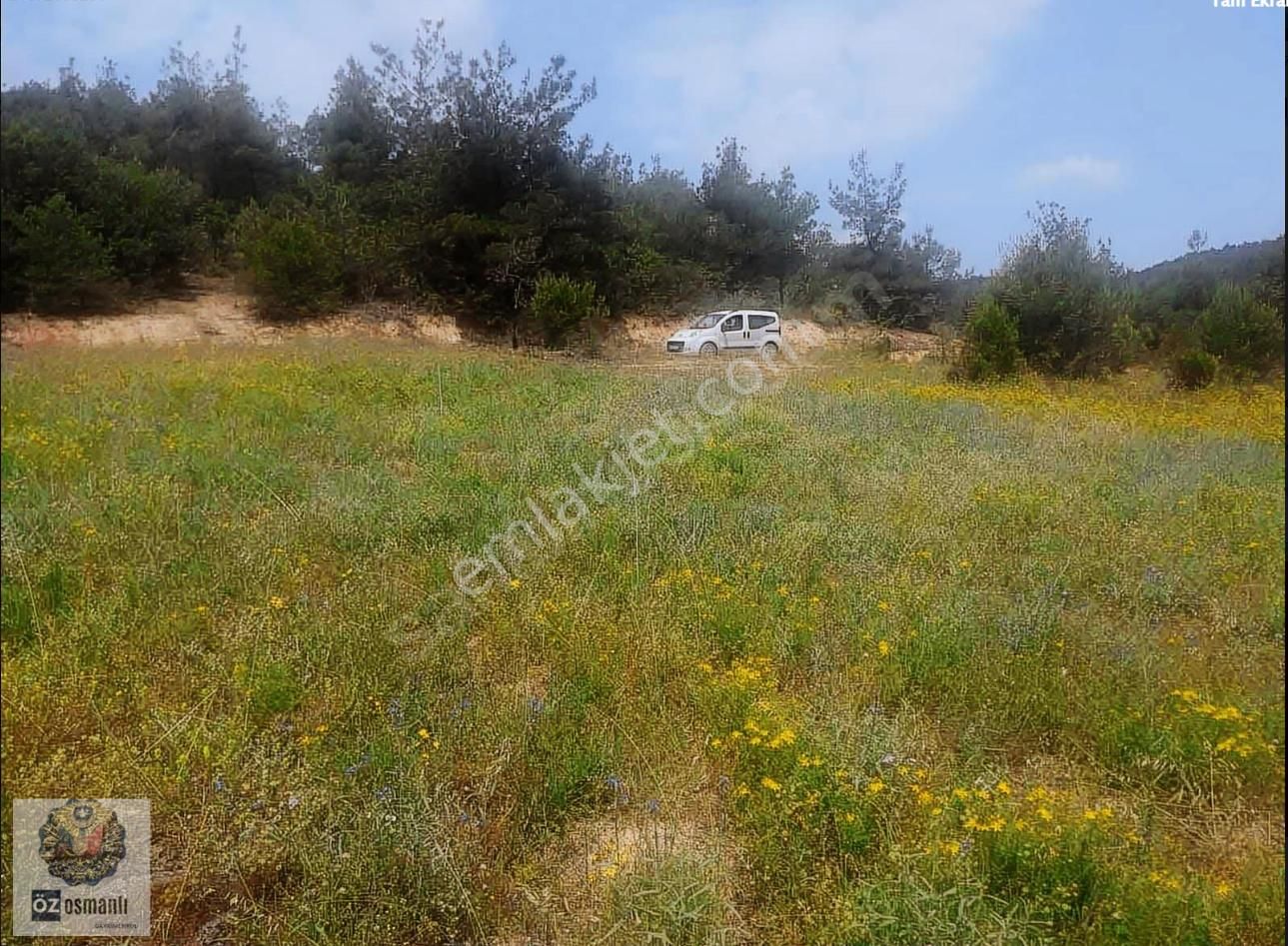 Ericek Köyünde 5200m2 Etrafı Orman Tarla 400 000tl.