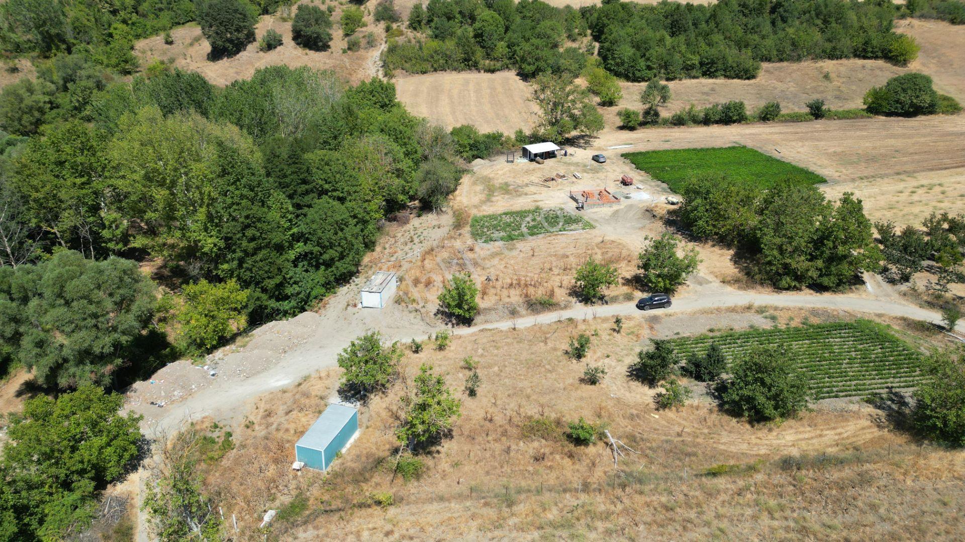 Kocaeli Karamürsel Avcıköy 1141 M² Merkezi Konum Satılık Bahçe - Görsel 7