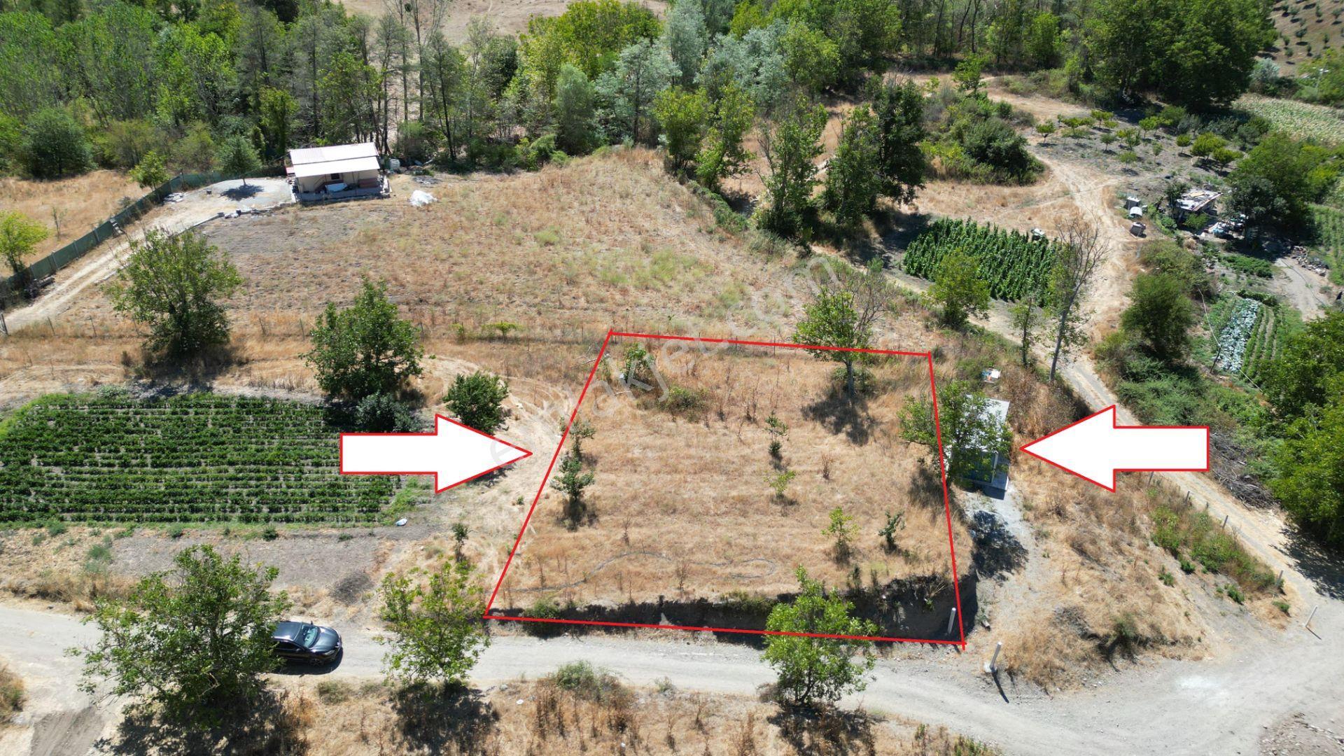 Kocaeli Karamürsel Avcıköy 1141 M² Merkezi Konum Satılık Bahçe