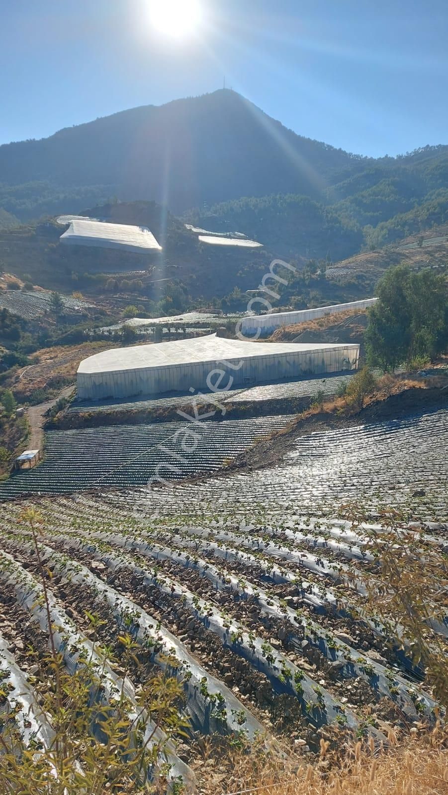 Anamur Çarıklar Efeler Mahallesinde Satılık Tarla - Görsel 6