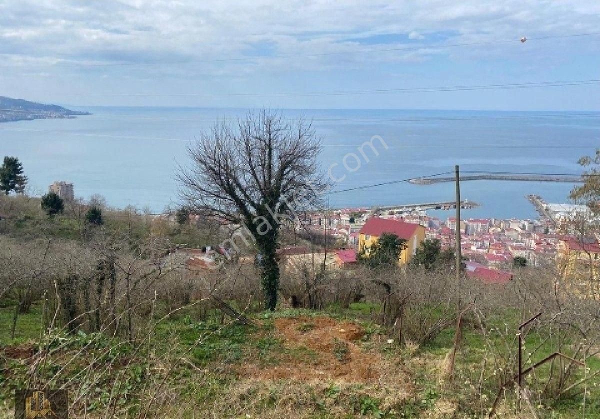 Giresun Merkez Seldeğirmeni Satılık Bağ & Bahçe Kadıoğlu Emlak Giresun Satılık 311 M2 Arsa