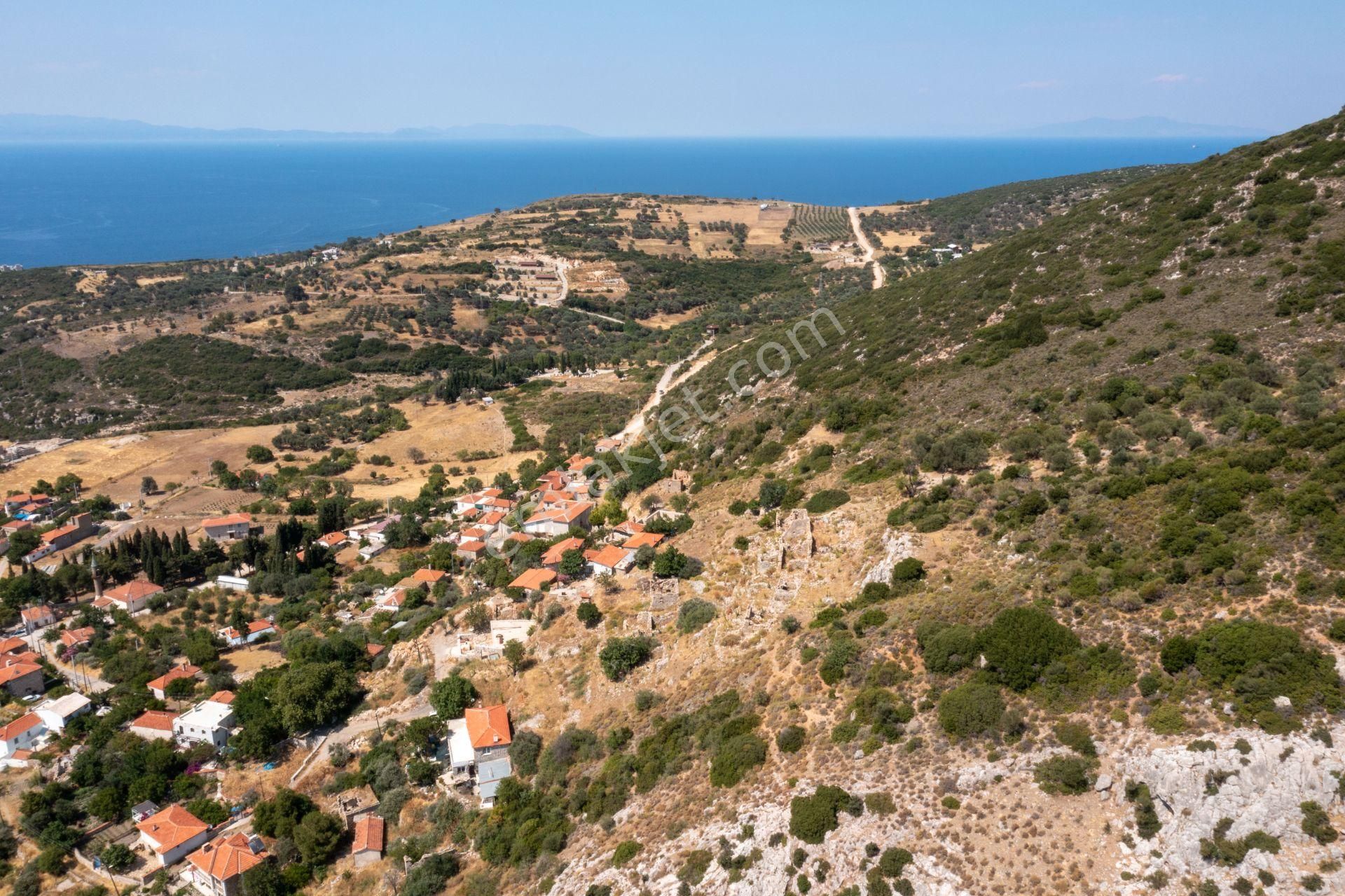 Karaburun Bozköy Satılık Konut İmarlı  Karaburun Bozköy'de Full Deniz Manzaralı Kargir Ev ve Arsası