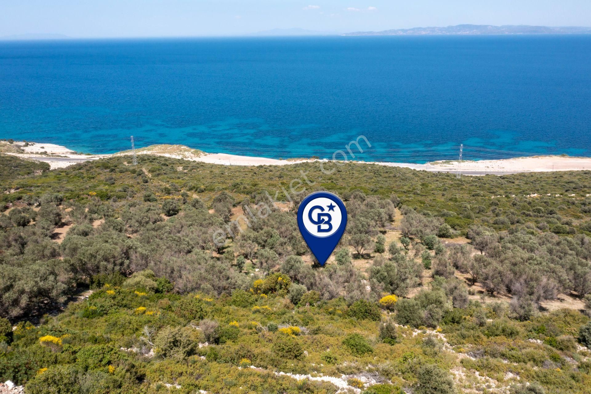 Karaburun Eğlenhoca Satılık Tarla  İzmir Karaburun Eğlenhoca'da Mükemmel Deniz Manzaralı Tarla