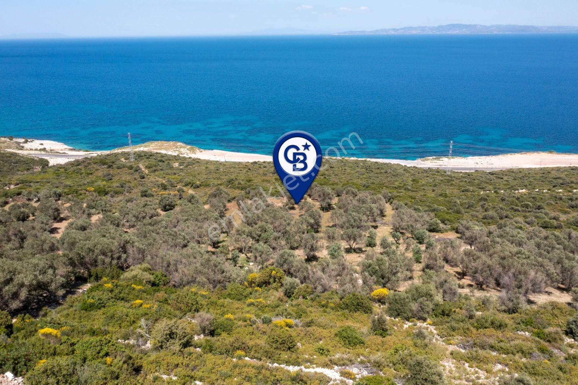 Karaburun Eğlenhoca Satılık Tarla  İzmir Karaburun Eğlenhoca'da Deniz Manzaralı Tarla