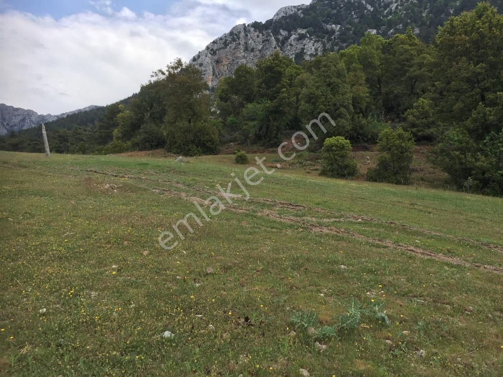 Antalya-kumluca -altınyaka(gödene) Satılık Arsa-tarla- - Görsel 5