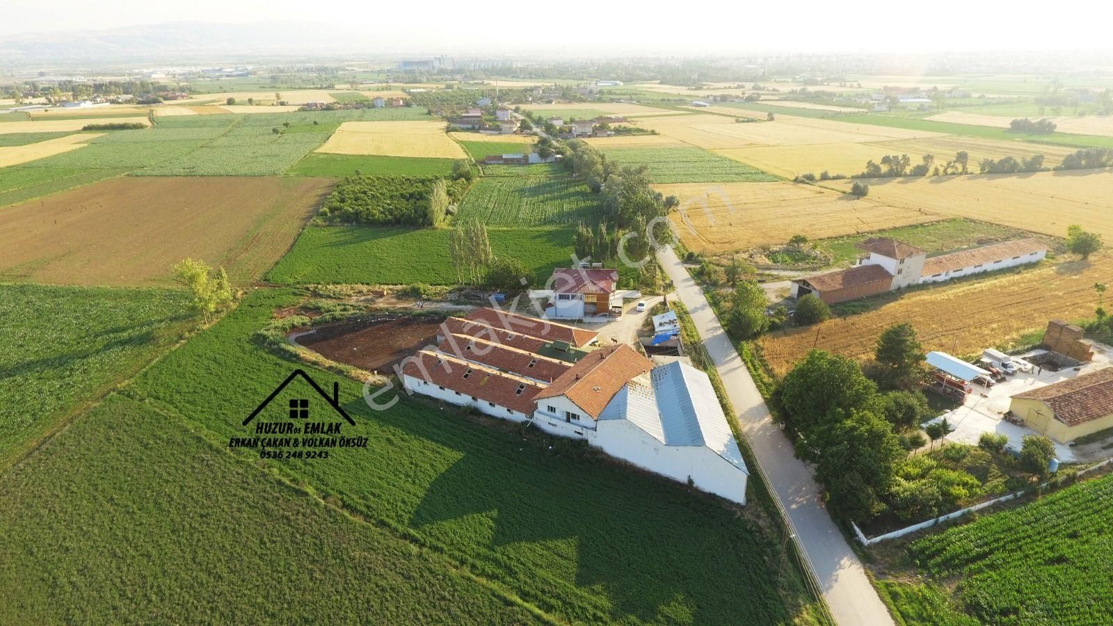 Amasya - Suluova Huzur 05 Emlaktan Ruhsatlı Krediye Uygun Çiftlik 8.665m2 Alana Kurulu - Görsel 2