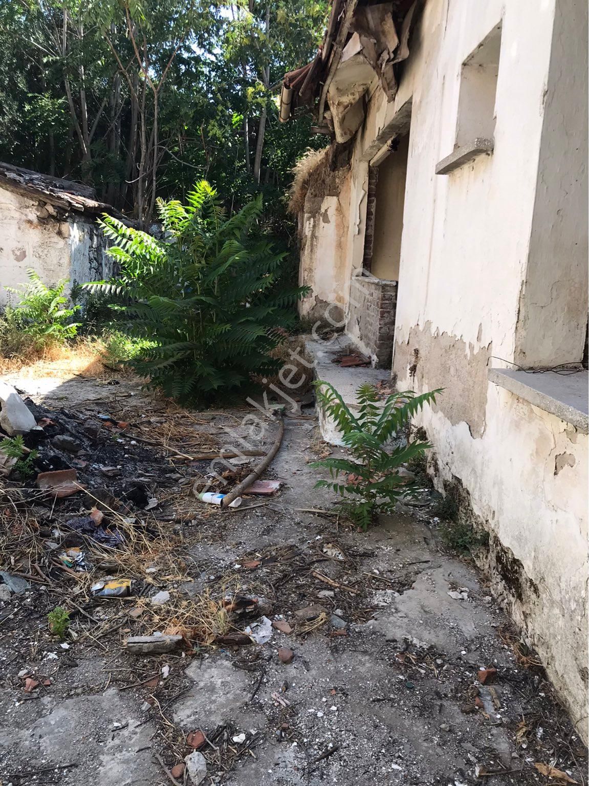 Bergama-aslanlı Cami Mevkii Satılık Müstakil Ev - Görsel 5