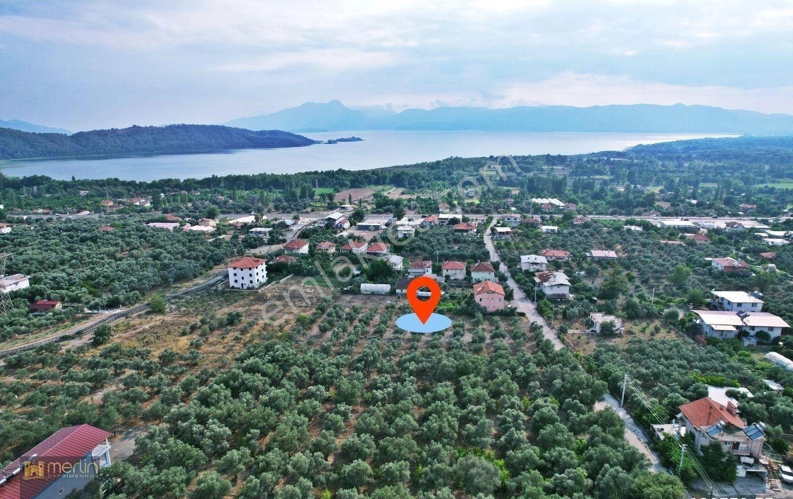 Köyceğiz Zeytinalanı Satılık Tarla Merlin'den Zeytinalanı'nda Göl Manzaralı 2.625 M² Tek Tapu Tarla