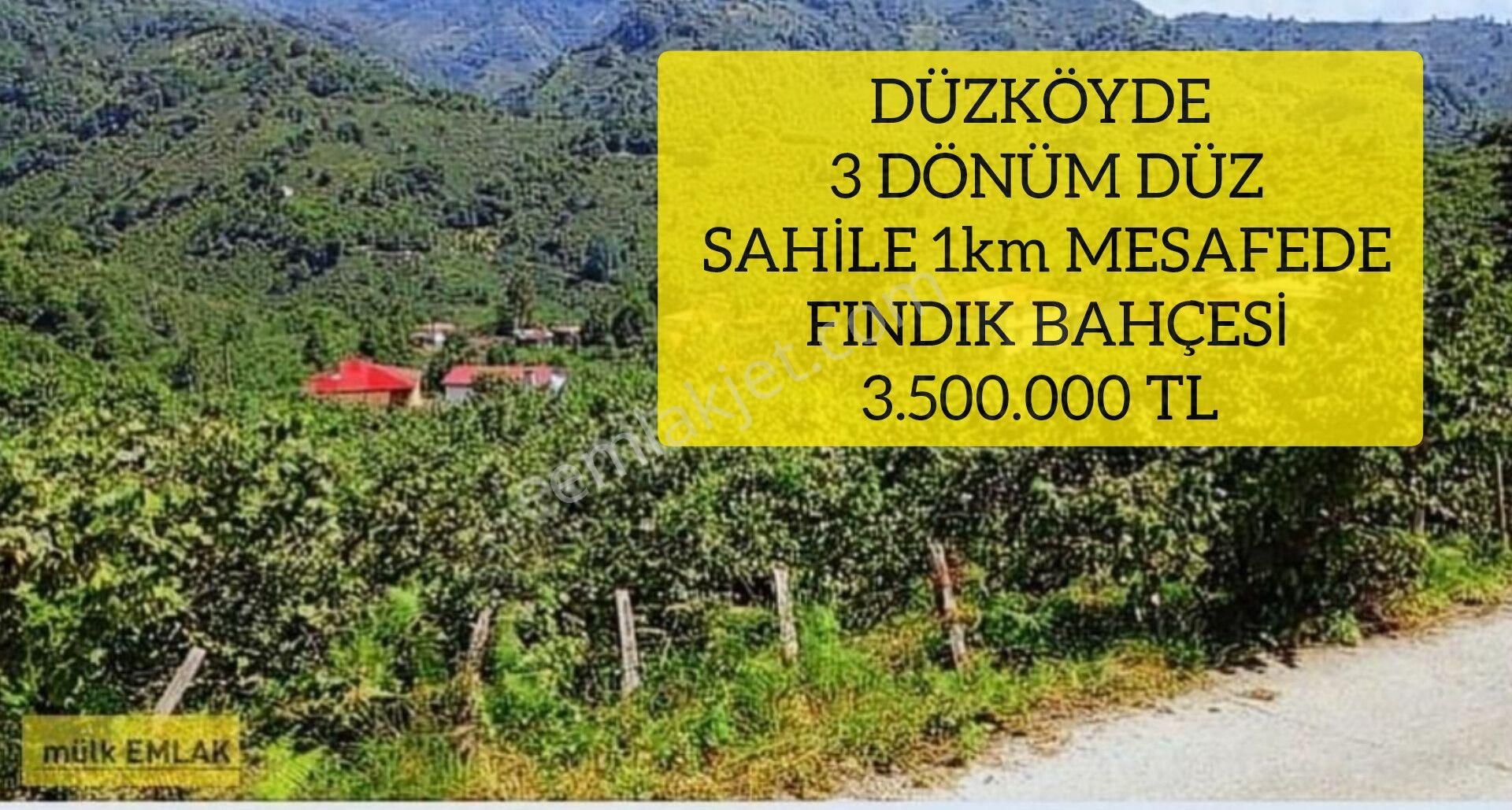 Giresun Merkez Hacımiktat Satılık Villa İmarlı (48) Düzköyde 3 Dönüm Düz Sahile 1km Mesafede Fındık Bahçesi