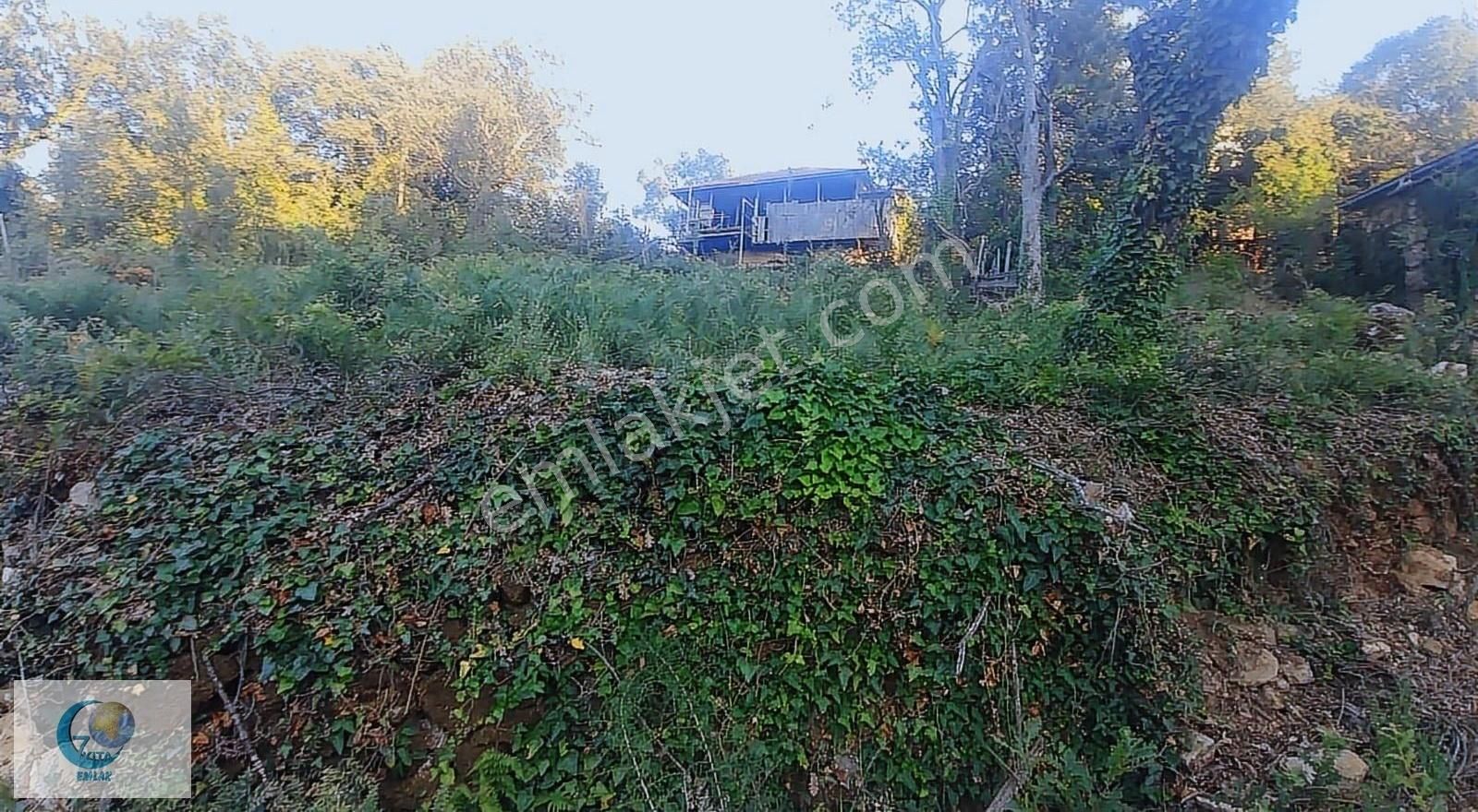 Alanya Türktaş Mah.içinde Osmanlı Evi Satılık Tarla - Görsel 25