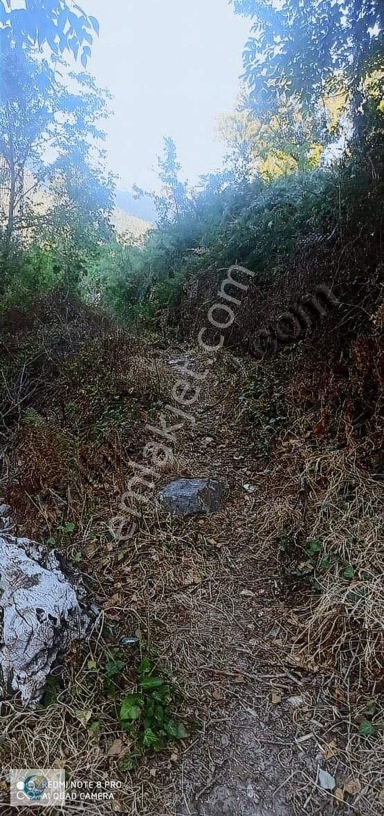 Alanya Türktaş Mah.içinde Osmanlı Evi Satılık Tarla - Görsel 7