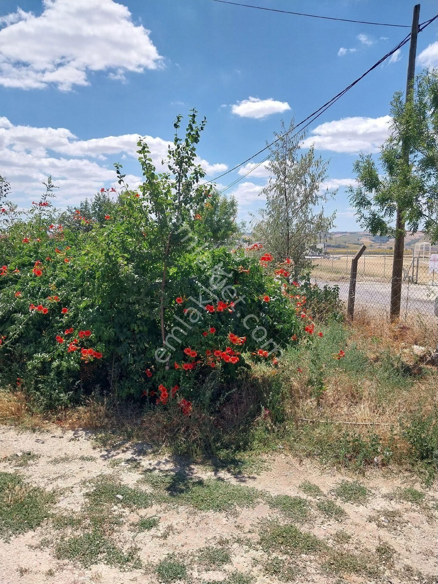 Tekirdağ Süleymanpaşa Gayrimenkulden Satılık Müstakil Ev Yağcı Mah 1600 M2 - Görsel 33
