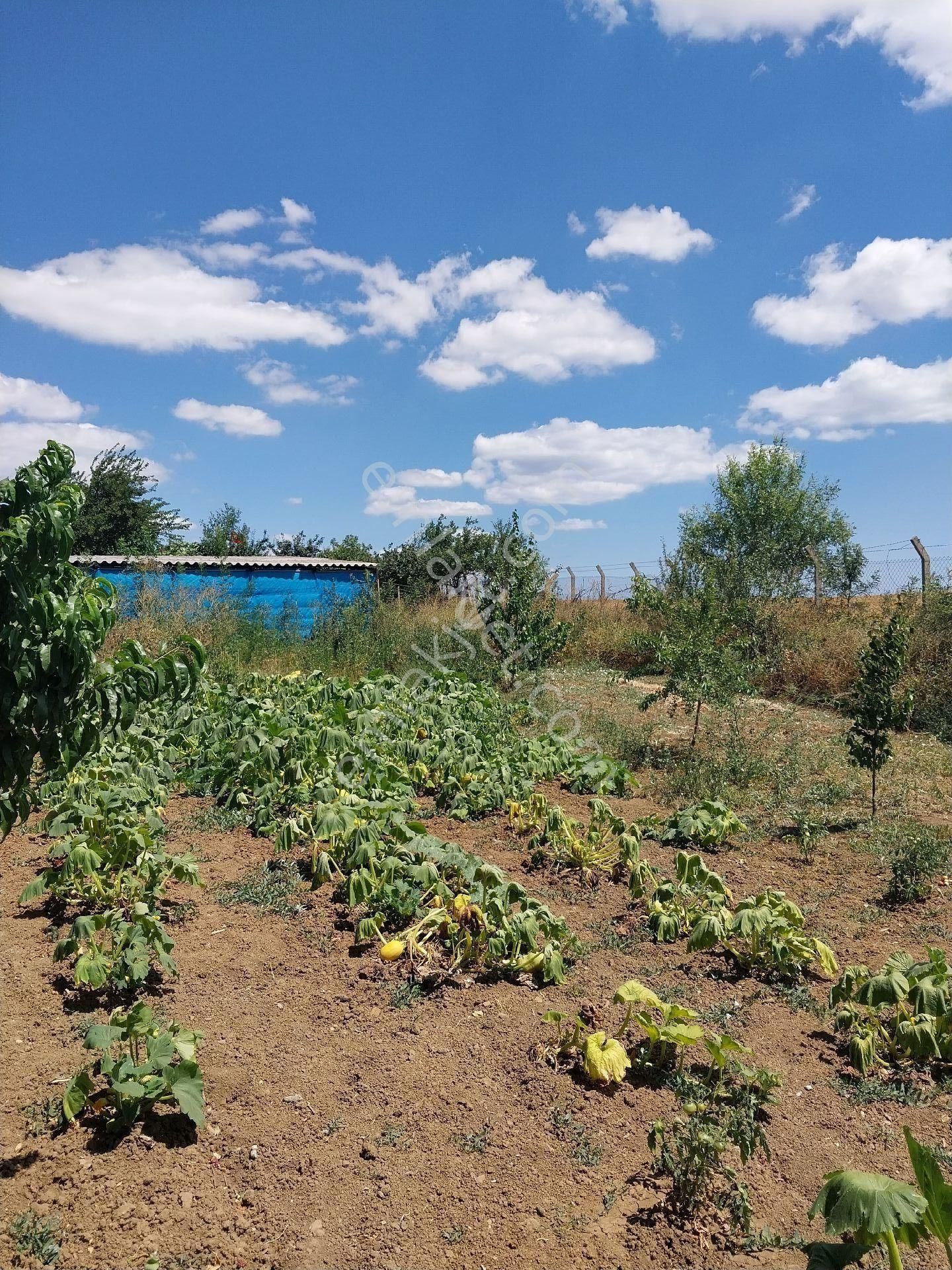 Tekirdağ Süleymanpaşa Gayrimenkulden Satılık Müstakil Ev Yağcı Mah 1600 M2 - Görsel 27