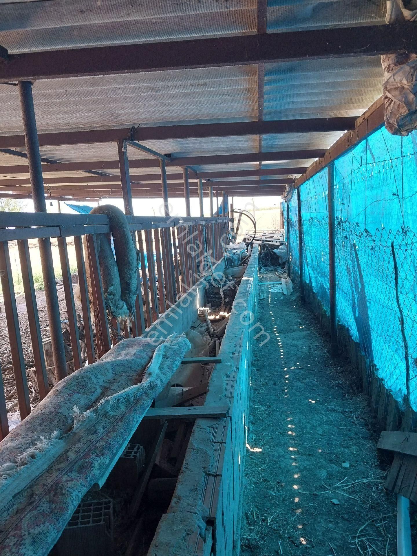 Tekirdağ Süleymanpaşa Gayrimenkulden Satılık Müstakil Ev Yağcı Mah 1600 M2 - Görsel 22