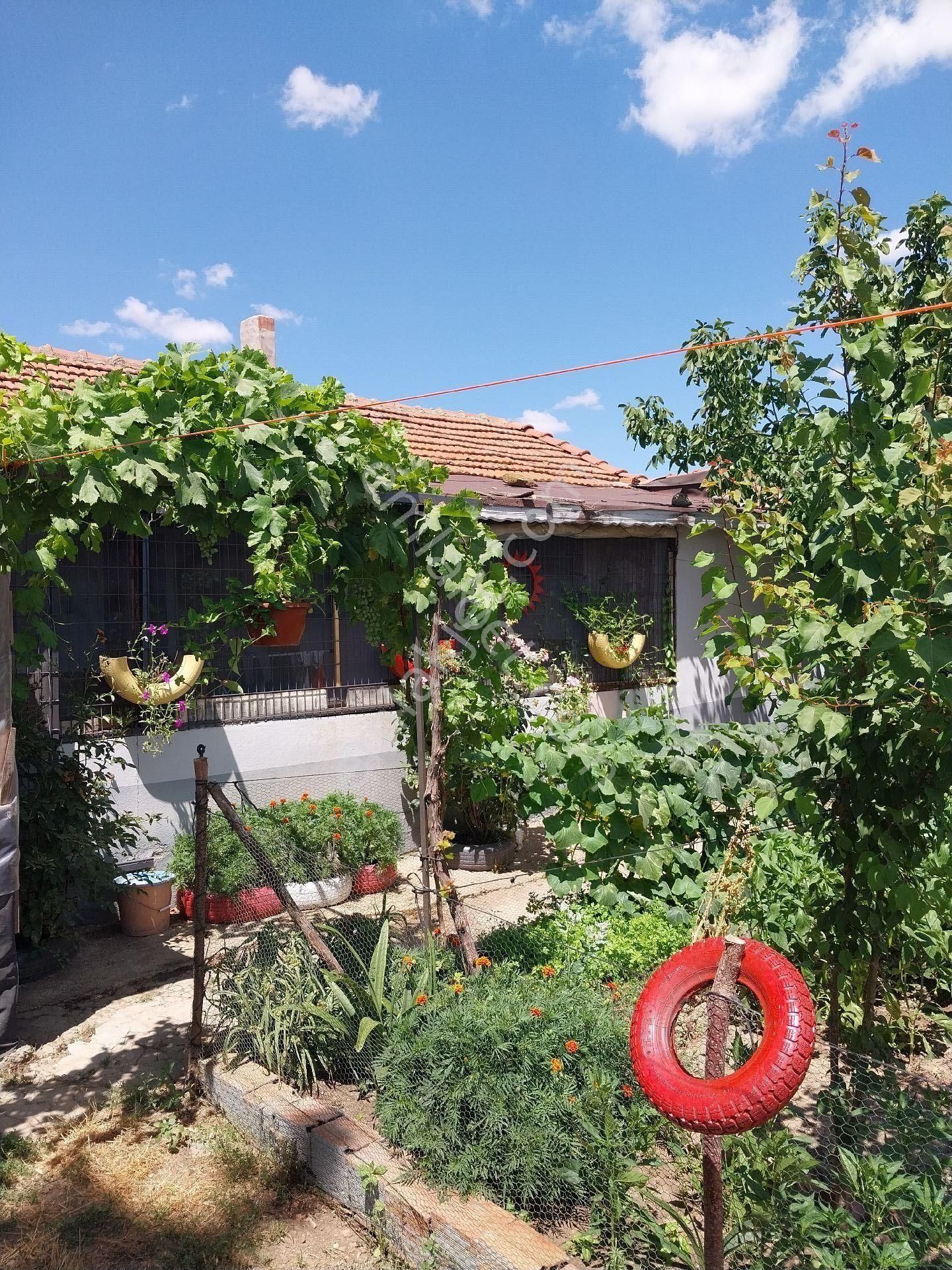 Tekirdağ Süleymanpaşa Gayrimenkulden Satılık Müstakil Ev Yağcı Mah 1600 M2 - Görsel 19