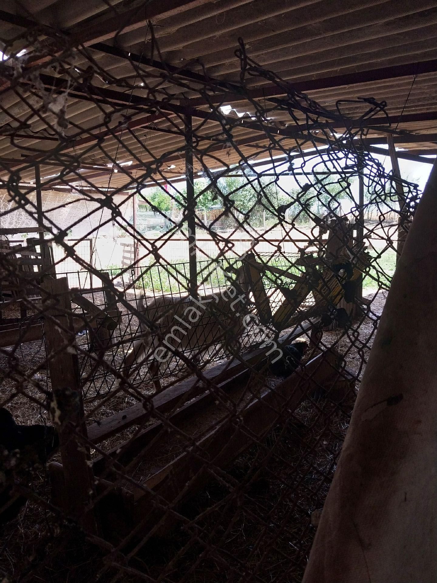 Tekirdağ Süleymanpaşa Gayrimenkulden Satılık Müstakil Ev Yağcı Mah 1600 M2 - Görsel 21