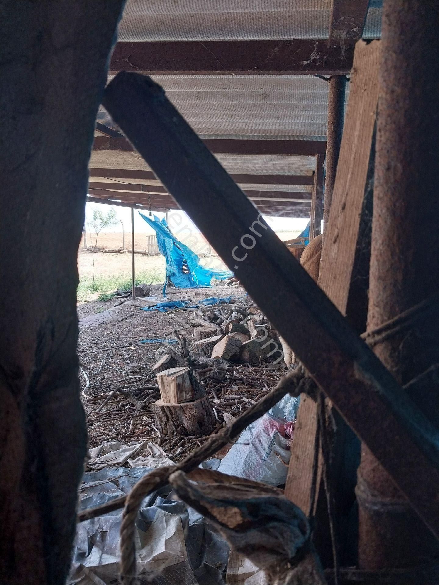 Tekirdağ Süleymanpaşa Gayrimenkulden Satılık Müstakil Ev Yağcı Mah 1600 M2 - Görsel 23