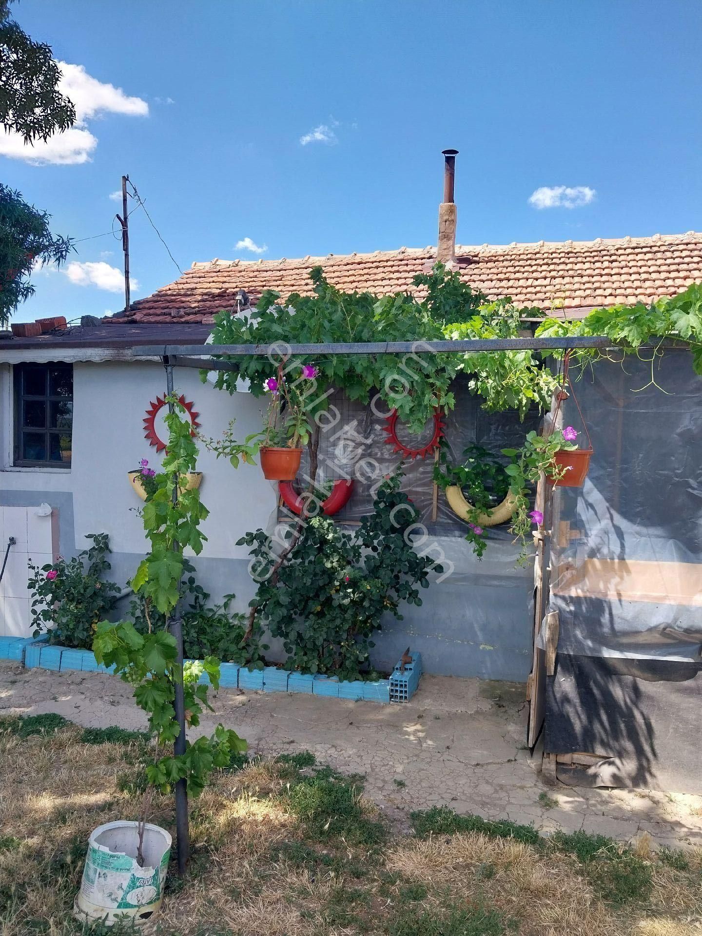 Tekirdağ Süleymanpaşa Gayrimenkulden Satılık Müstakil Ev Yağcı Mah 1600 M2 - Görsel 20