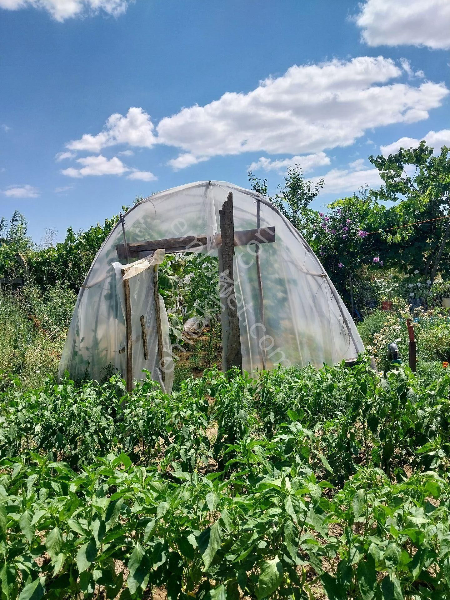 Tekirdağ Süleymanpaşa Gayrimenkulden Satılık Müstakil Ev Yağcı Mah 1600 M2 - Görsel 25