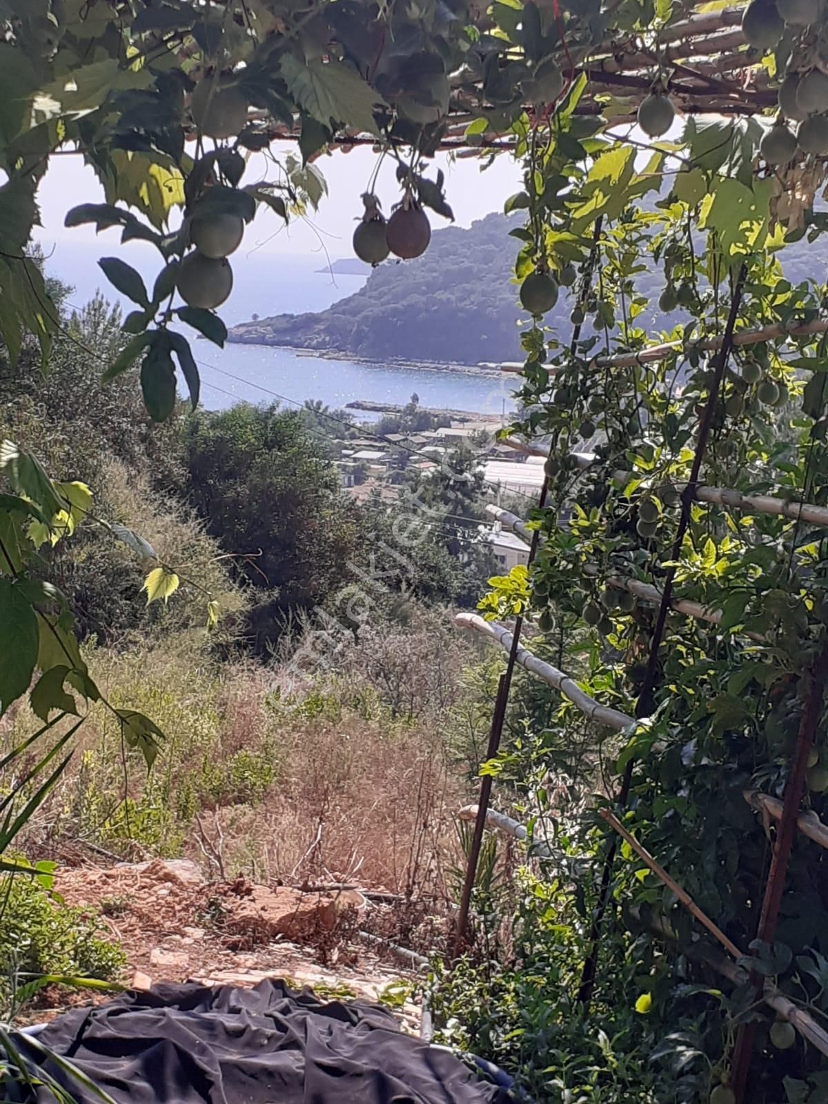 Arkadaş İnşaat Emlaktan Kumluca Karaöz De Satılık Müstakil - Görsel 8