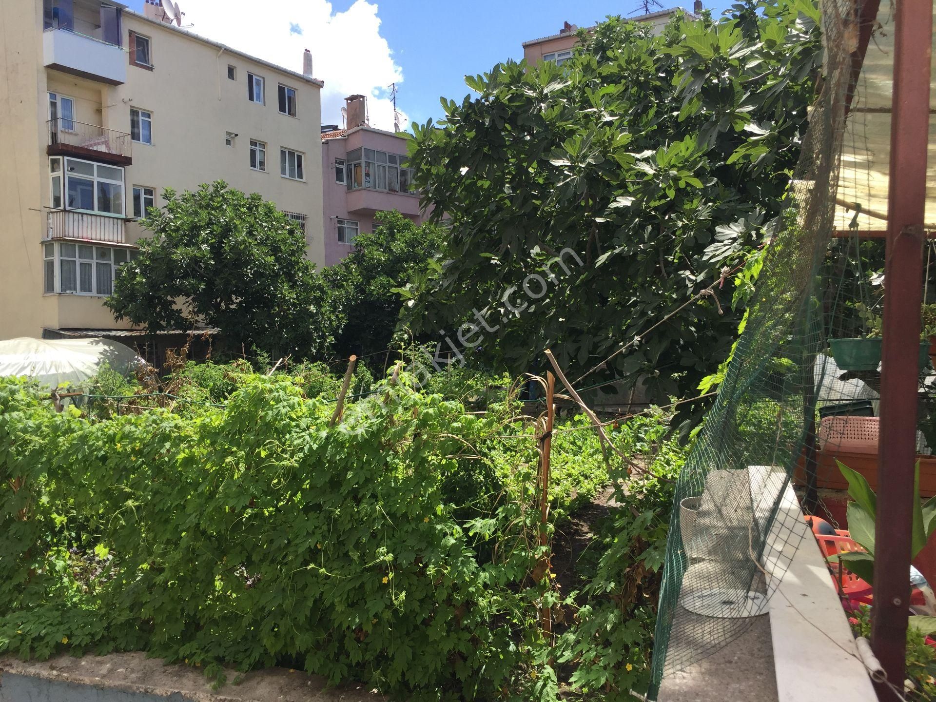 Sümbülefendi-hacı Piri Sk.-perşembe Pazarında -bahçeli 2 Ad. Daire - Görsel 12